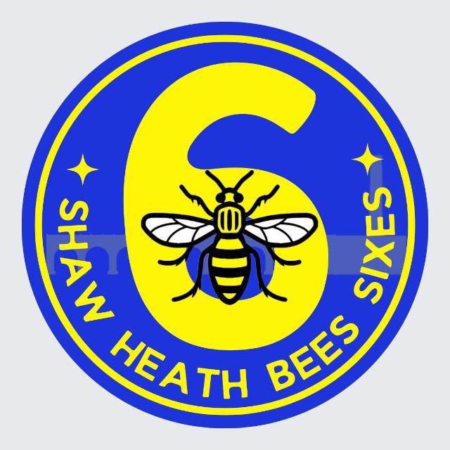 Shaw Heath Bees 6s